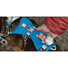 Arnés para perros Ruffwear Flagline