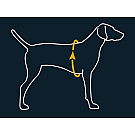 Ruffwear Flagline Hundegeschirr