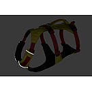 Ruffwear Flagline Hundegeschirr