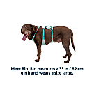 Ruffwear Flagline Hundegeschirr