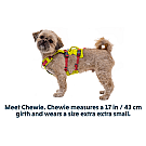 Arnés para perros Ruffwear Flagline
