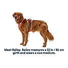 Ruffwear Flagline Hundegeschirr