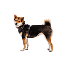Arnés para perros Ruffwear Front Range