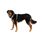 Ruffwear pojas za pse Front Range