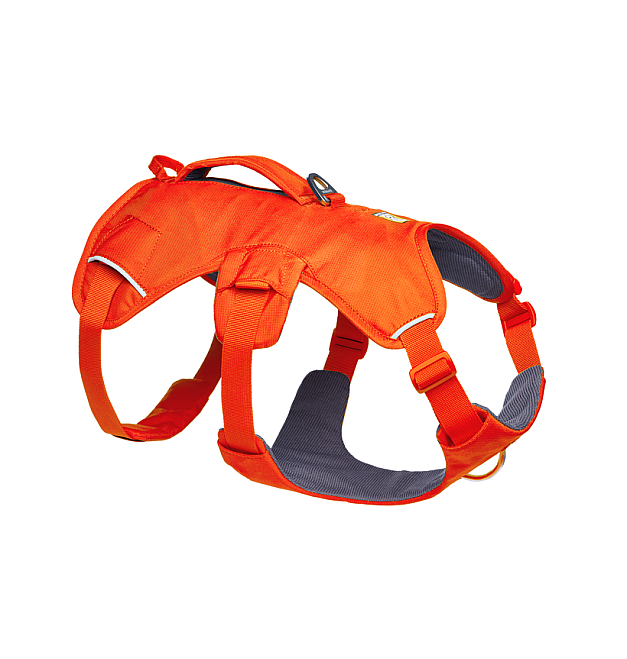 Arnés para perros Ruffwear Web Master