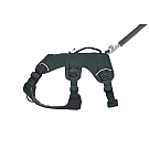 Pasja oprsnica Ruffwear Web Master