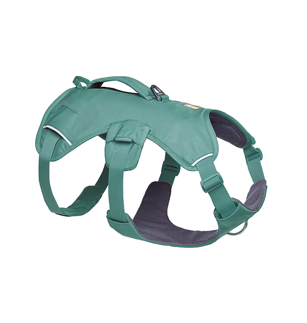Arnés para perros Ruffwear Web Master