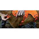 Arnés para perros Ruffwear Web Master