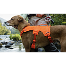 Arnés para perros Ruffwear Web Master