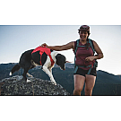Ruffwear Web Master Hundegeschirr