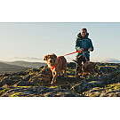 Correa para perros Ruffwear Front Range