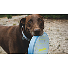 Ruffwear Camp Flyer Hundespielzeug