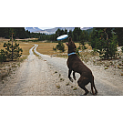 Ruffwear igračka za pse Camp Flyer