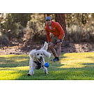 Ruffwear Huckama Hundespielzeug
