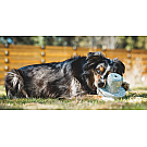 Ruffwear Porcini Hundespielzeug