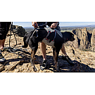 Ruffwear Doppelrücken-Hundegeschirr