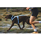 Correa para perros Ruffwear Front Range Flex