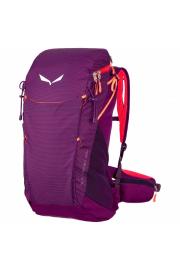 Backpack Salewa Alp Trainer 20